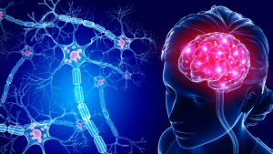 Neurology